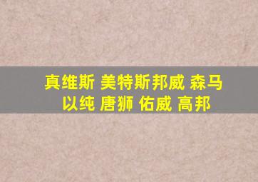 真维斯 美特斯邦威 森马 以纯 唐狮 佑威 高邦